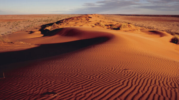 Birdsville