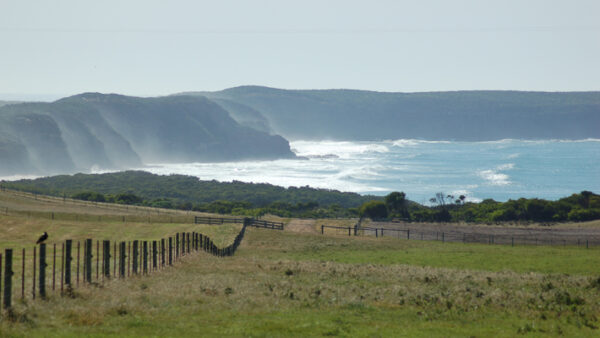 Cape Nelson