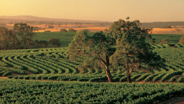 Eden Valley Barossa Valley