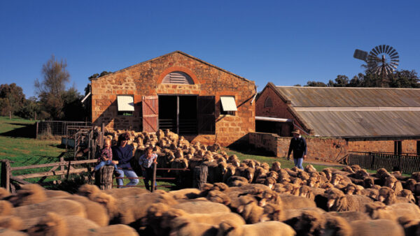 Farm Homestead Clare Valley