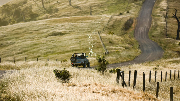 Fleurieu Peninsula, McLarenVale