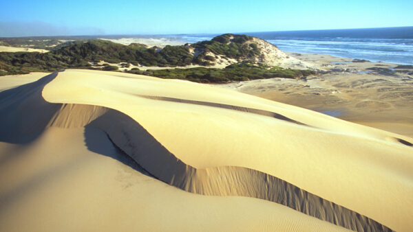 Henty Dunes