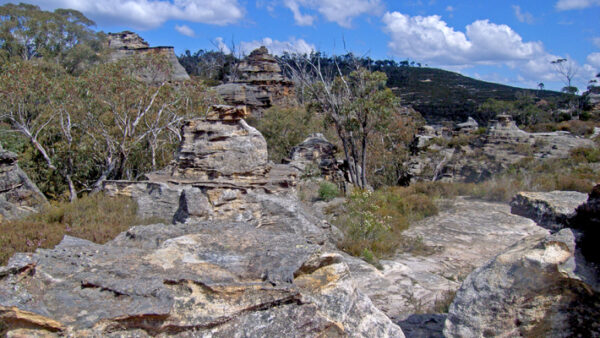 Lithgow Cliffs