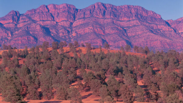 Desert Escarpment