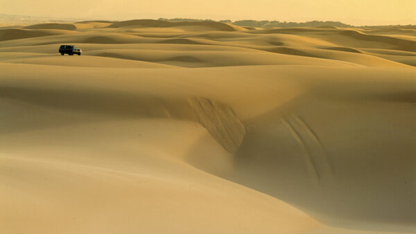 Stockton Dunes