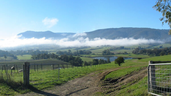 Yarra Ranges