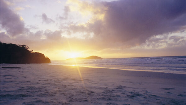 Tropical Coastline