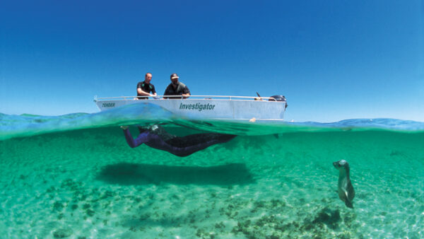 Underwater Eyre Peninsula