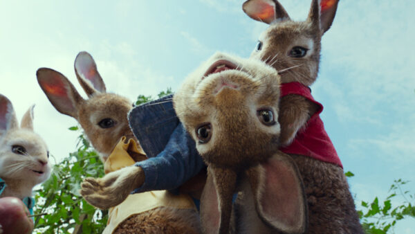 Peter Rabbit ‘Hop Off the Press’!