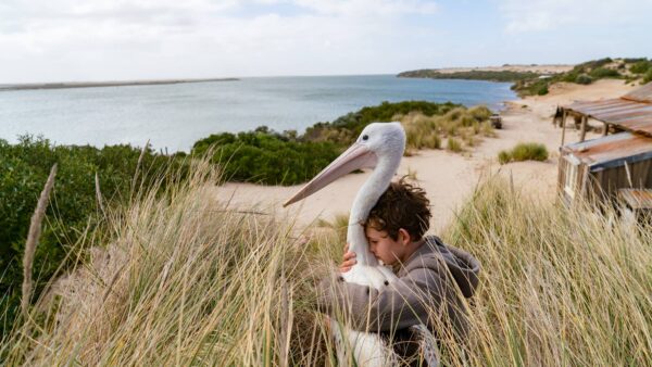 SOUTH AUSTRALIAN FILMS STORM US SCREENS