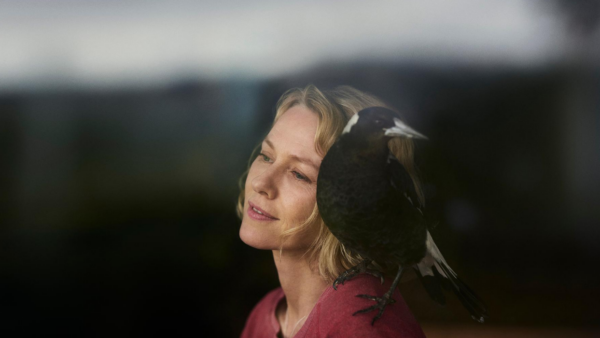 AUSTRALIAN FILM <i>PENGUIN BLOOM</i> SET FOR WORLD PREMIERE AT TIFF 2020