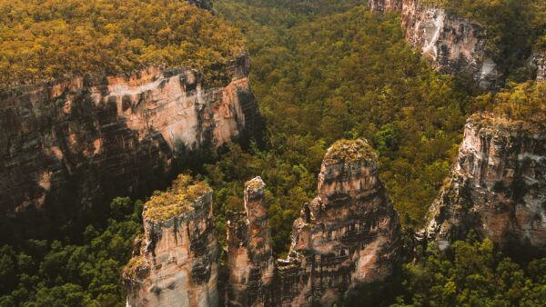 Carnarvon Gorge