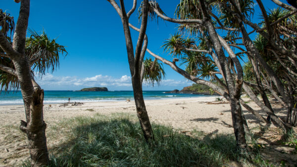 Fingal Head