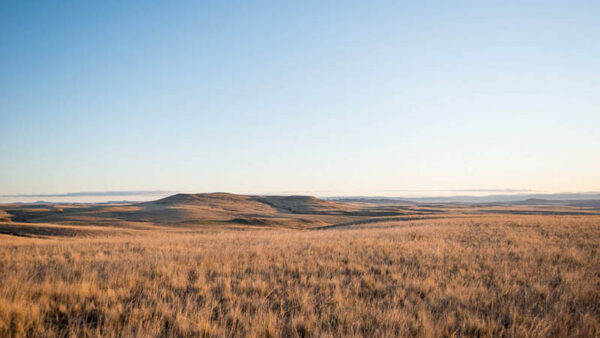 Monaro Plains