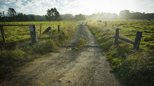 NSW ANNNOUNCES $20M ‘MADE IN NSW’ FILMING FUND