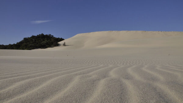 Moreton Island