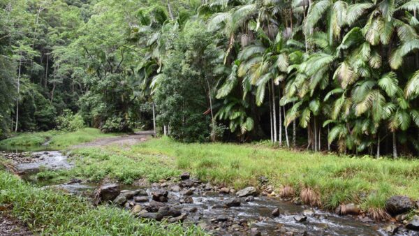 Tallebudgera Valley