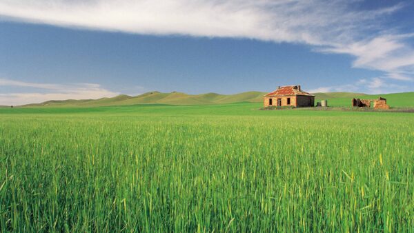 Burra, Clare Valley