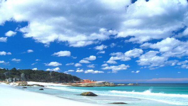 Stumpy’s Bay, Mt William National Park, Tasmania