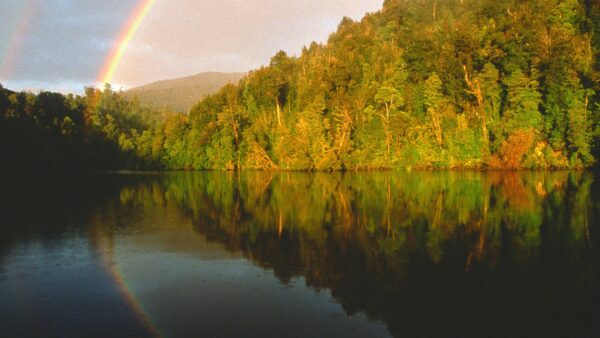 The Gordon River