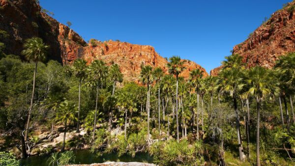 Miri Miri Falls, El Questro Station