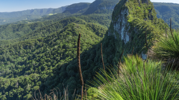 LOCATION SPOTLIGHT: QUEENSLAND STARRING IN NETFLIX’S <I> SPIDERHEAD</I>