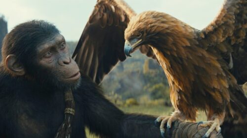 Aerial Film Australia Helps <em>Kingdom of the Planet of the Apes</em> Soar to New Heights